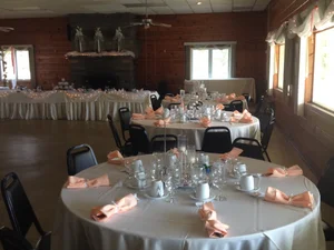 Banquet room with fireplace and peach napkins