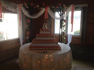 Multi-tier coral wedding cake in pine-paneled room